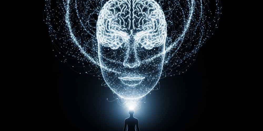 천 개의 뇌 표지 이미지