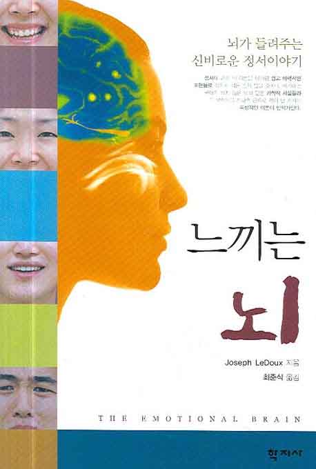 느끼는 뇌 책 표지 이미지