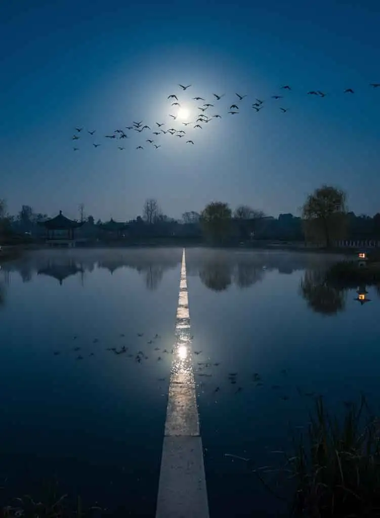 채근담 끝단 이미지