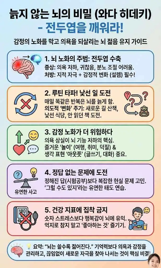 늙지 않는 뇌의 비밀 인포그래픽-1